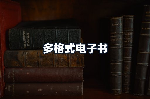 多格式电子书